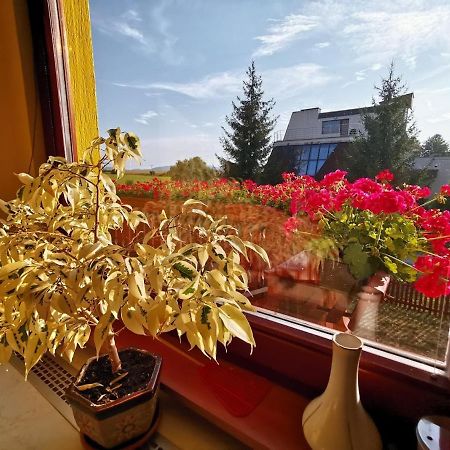Apartman Adrianka Turčianske Teplice 外观 照片