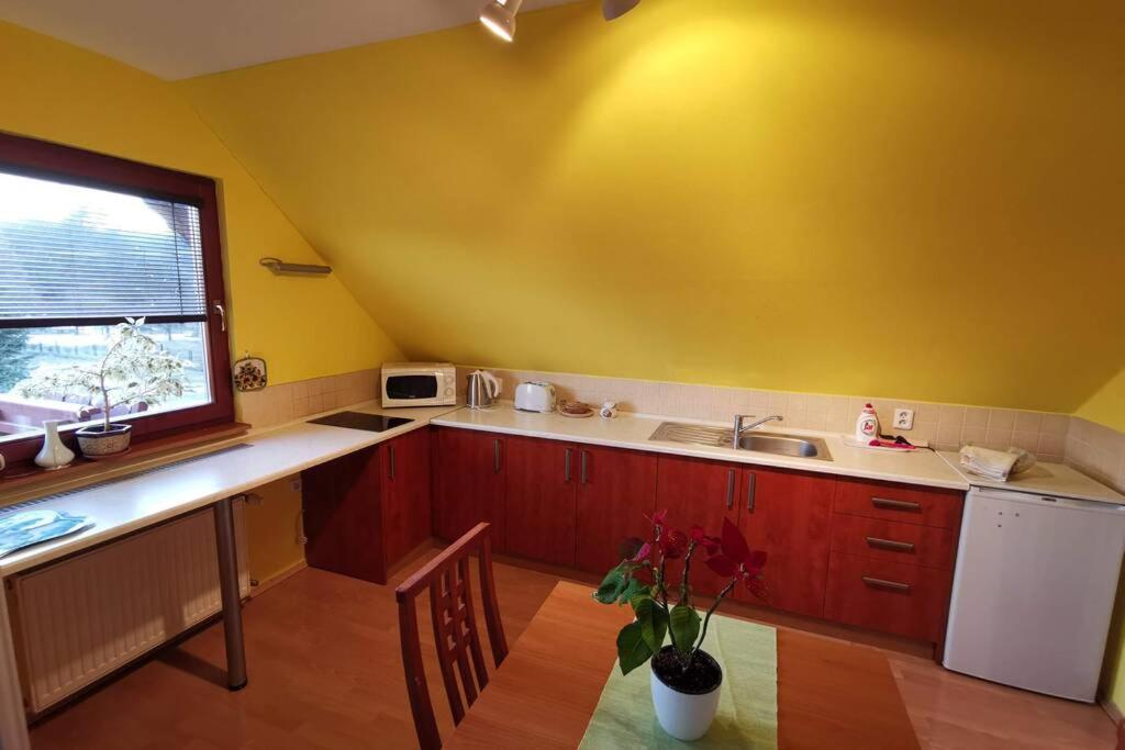 Apartman Adrianka Turčianske Teplice 外观 照片