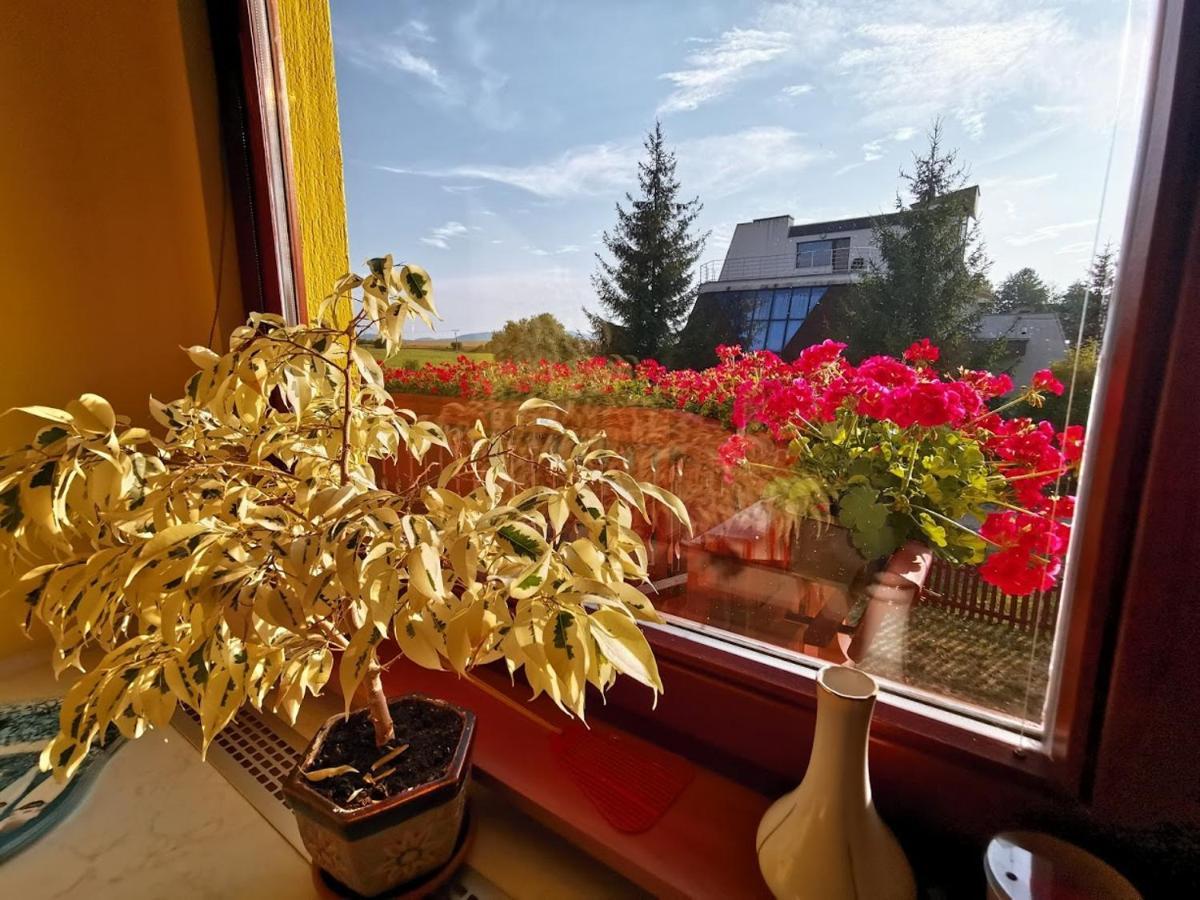 Apartman Adrianka Turčianske Teplice 外观 照片